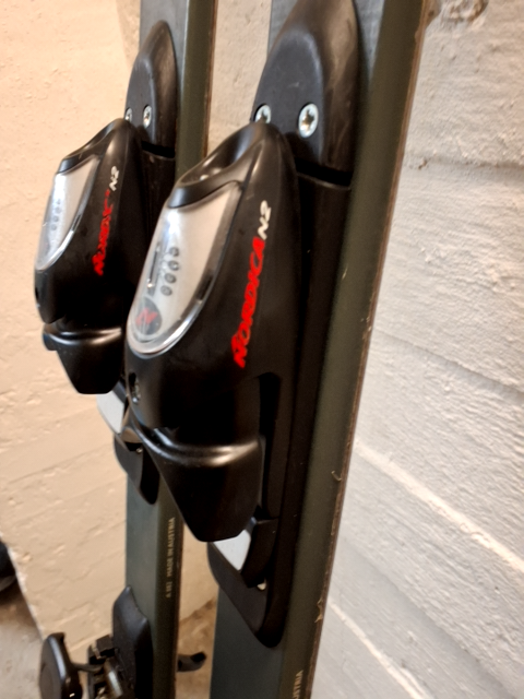 Alpine Ski Nordica